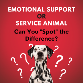 Emotional Support or Service Animal. Can you spot the difference? A Dalmatian with question marks around it
										